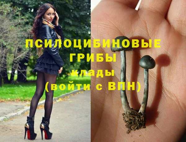 кокаин Новозыбков