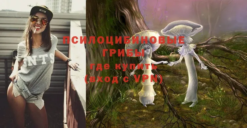 Галлюциногенные грибы Magic Shrooms  Правдинск 