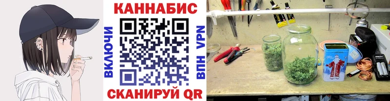 Шишки марихуана конопля Правдинск